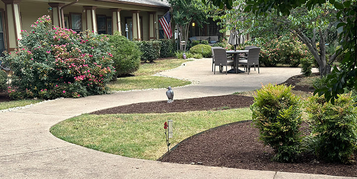 Landscaping Contractor in Holly Lake Ranch TX