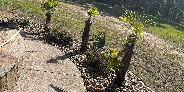 Tree Installation in Gilmer TX