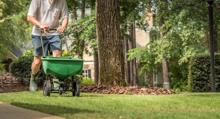 lawn maintenance service in Gilmer